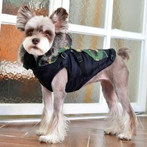 퍼피아 포켓 배색 하네스 점퍼 패딩, 블랙