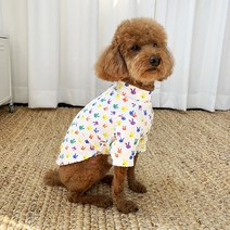 유앤펫 새콤달콤 강아지 티셔츠, 화이트