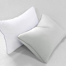 달잠 빨아쓰는 알러지케어 마이크로화이바 베개솜 + 베개커버, 커버(퓨어그레이), 솜(화이트)