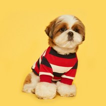 플로트 스탠다드 강아지 맨투맨 티셔츠, 스트라이프 레드 + 네이비