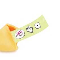 아이템 포춘쿠키, 5g, 500개