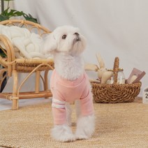 반려동물 포켓 티셔츠, 핑크