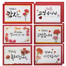 1000 카네이션카드 6종 W10-1, 혼합색상, 2세트