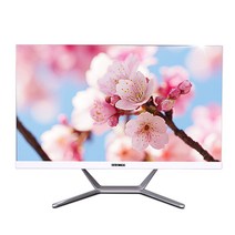 뷰라이프 올인원 24 일체형 PC AP-D238 (Intel Duel-Core i5 61cm), AP-D238-i5, WIN 미포함, RAM 8GB, SSD 120GB