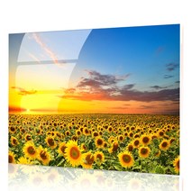프리미엄 해바라기 아크릴 액자 행운 해바라기5