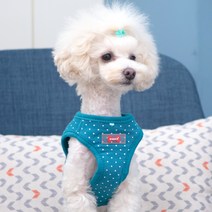 퍼피아 강아지 도트 하네스 B형, 틸