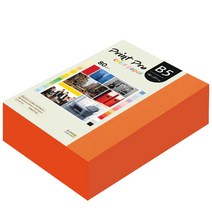 종이문화 프린트 프로 칼라 복사용지 No 28 로얄오렌지 80g, B5, 680개