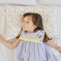 아띠블랑 아이스 인견 경추 베개, 디노포레스트