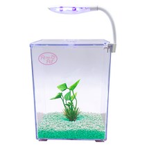 로라펫 베타룸 + 수초 + 바닥재 + LED조명 어항세트, 에메랄드민트(바닥재), 랜덤발송(LED조명)