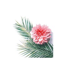 북유럽풍 심플 식물 그리기 DIY, 꽃과 잎 A68