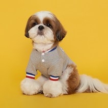 플로트 스냅티셔츠 강아지옷, 그레이