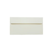 티켓형 카드 초대장 레이드지 용돈봉투 175 x 85mm, 연미색, 100개