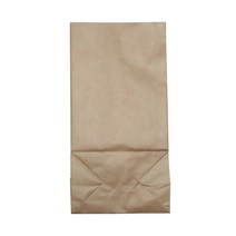 바이오마스터 무지 크래프트 종이봉투 Large, 100개입, 10개