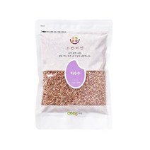 씨익 소반미반 차수수, 500g, 1개