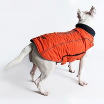 유앤펫 중대형견 아웃도어 패딩, 오렌지