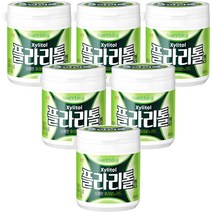 스위토리 플라리톨껌, 100g, 6개
