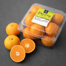 올레길감귤 당도선별 진지향, 1kg, 1팩