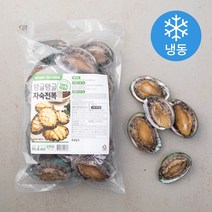 탱글탱글 자숙전복 (냉동), 500g, 1개