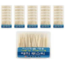 매직투스픽 치간칫솔 대용 이쑤시개 0.3mm, 20개입, 40개