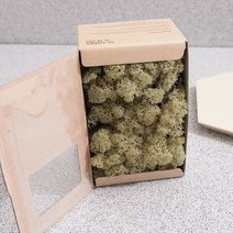 스칸디아모스 이끼 올드스프링 500g, 1개