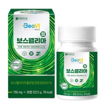 네이처드림 베오비 보스웰리아정 22.5g, 1개, 30정