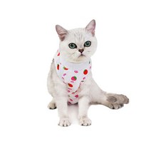 리치독스 반려동물 중성화 수술복, 딸기