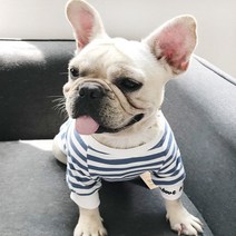 반려동물 바나나 커플 티셔츠, 블루