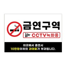 피노마켓 금연구역 안내판 디자인 3 대형 45 x 30 cm, 금연구역 CCTV 녹화중, 1개