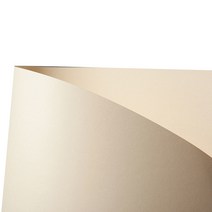 두성 칼라 복사지 흰미색 80g P01, 500개, A4