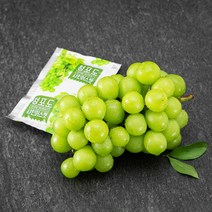 올바른과일 김천 샤인머스켓 600g + NFC 착즙주스 110ml, 1세트