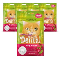 캣템 스피루리나 고양이 덴탈 간식 60g, 비프, 5개