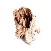 모비딕 그루터기 유목, 1개