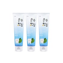 순수한입 마일드 데일리 치약, 120g, 3개