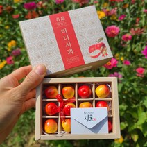 미니 과일 용돈박스 세트, 사과