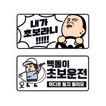 티엔알 백돌이초보 + 내가초보라니 야광반사고휘도 스티커, 혼합색상, 1세트