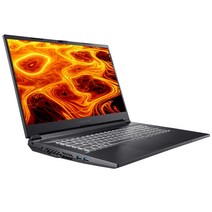 주연테크 2022 게이밍 노트북 17, L8CS36W, WIN11 Home, 16GB, 512GB, 라이젠7, 블랙