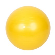 멜킨스포츠 그랜드 프리미엄 짐볼 1200g, 골드옐로우