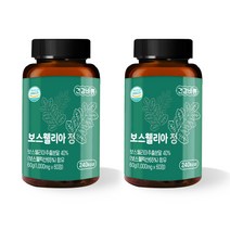 보스웰니아 정 60g, 60정, 2개