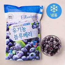 유기가공식품 인증 블루베리 (냉동), 500g, 1팩