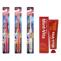 EBISU 마스터케어 칫솔 랜덤발송 3p + 민트비타치약 스트롱 120g, 1세트