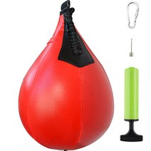 복싱 샌드백 펀치 입식타격 트레이닝 스피드볼, 올레드