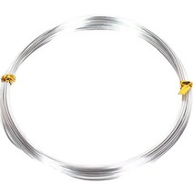 공예 철 와이어 1mm x 10m, 02 실버, 1개