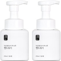 생활공작소 용기 핸드워시 망고향, 2개, 250ml