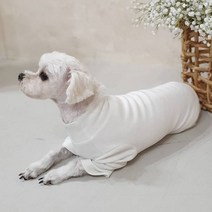뽀랩 반려동물 소프트 폴라티셔츠, 화이트