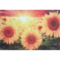 상상그램 미끄럼방지 해바라기 현관 코일 매트 1000 x 1200 x 13 mm, 1개