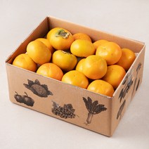 푸드베이스 산지직송 푸드베이스 부유단감, 5kg(21~23입), 1개
