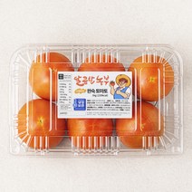 달콤한토마토 판매순위 1위 상품의 가성비와 리뷰 분석