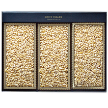 솔닙 가평잣 기프트세트 510g + 쇼핑백, 1세트