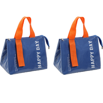 디에스 캠핑 피크닉 방수 보온보냉백 2p, 블루