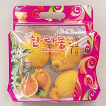 귤탐 고당도 한라봉, 1.0kg(4~5입), 1개